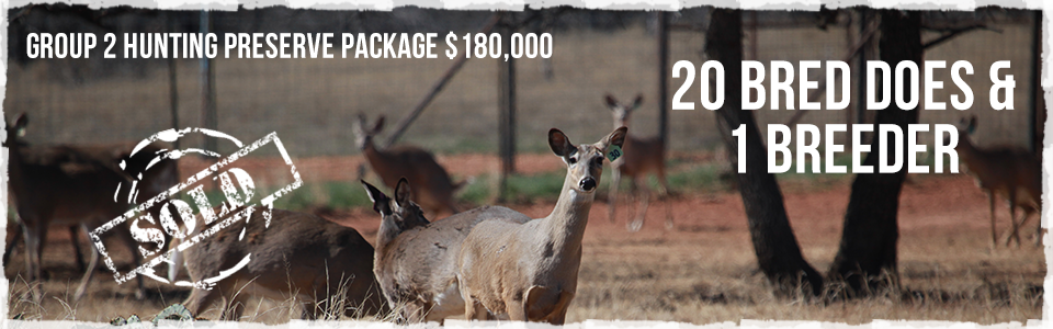 Group 2 hunting preserve package